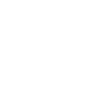 TLC - Professional Matchmaking Services